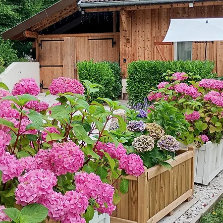Vue * Sévrier